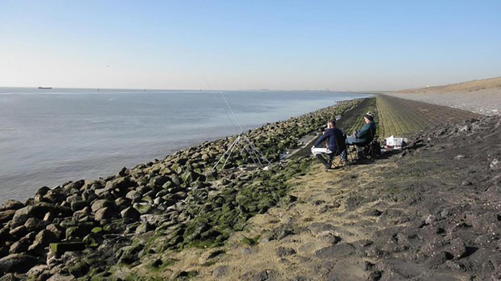Residentie Oosterschelde Sint Philipsland Exterior foto
